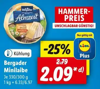 Lidl Bergader minilaibe Angebot