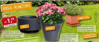 Sonderpreis Baumarkt VERSCH. PFLANZTÖPFE Angebot