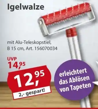 Sonderpreis Baumarkt Igelwalze Angebot