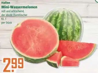 Klaas und Kock Italien Mini-Wassermelonen Angebot