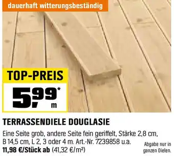 OBI TERRASSENDIELE DOUGLASIE Angebot