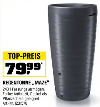 OBI REGENTONNE „MAZE" Angebot