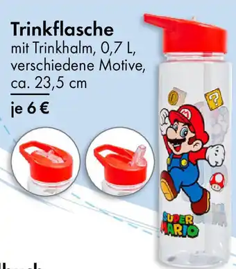 TEDi Trinkflasche Angebot