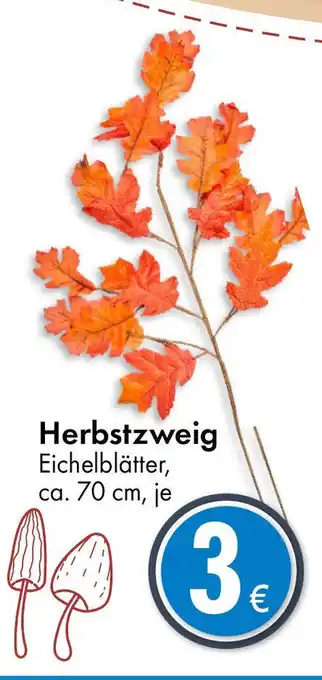 TEDi Herbstzweig Angebot