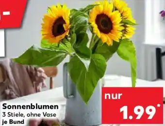 Kaufland Sonnenblumen Angebot