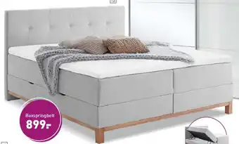 Möbel Martin Boxspringbett Angebot