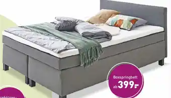Möbel Martin Chili Boxspringbett Angebot