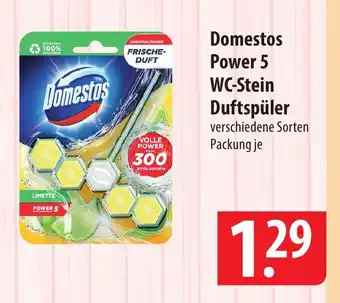 Famila Nord Ost Domestos Power 5 WC-Stein Duftspüler Angebot