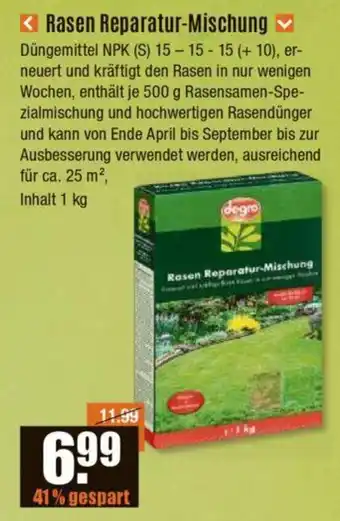 V Baumarkt degro Rasen Reparatur-Mischung 1 kg Angebot