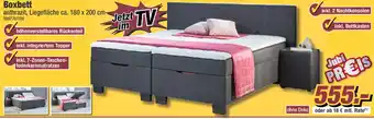 Poco Boxbett Angebot