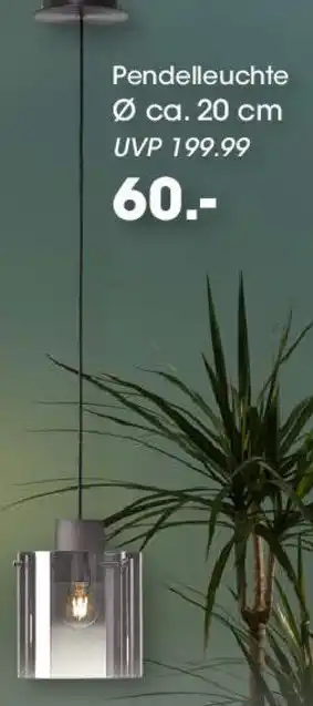 Möbel Martin Pendelleuchte Angebot