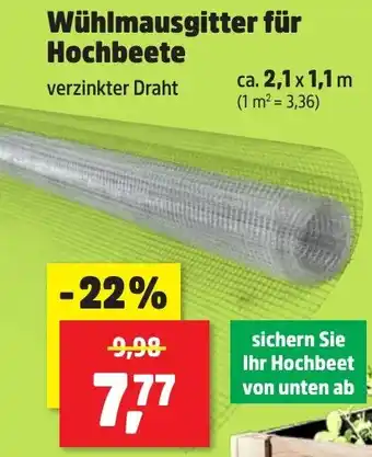 Thomas Philipps Wühlmausgitter für Hochbeete Angebot