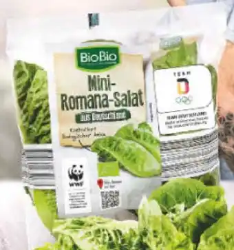 Netto Marken-Discount Bio-Mini-Romanasalat Angebot