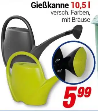 CENTERSHOP Gießkanne 10,51 Angebot