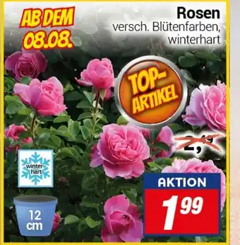 CENTERSHOP Rosen Angebot