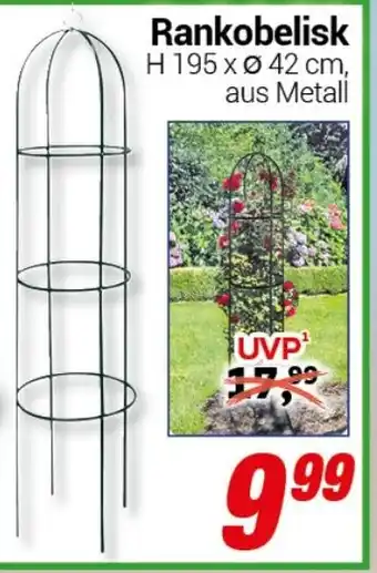 CENTERSHOP Rankobelisk Angebot