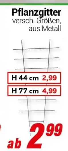 CENTERSHOP Pflanzgitter Angebot