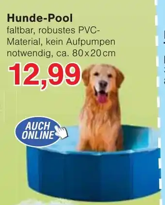 Wiglo Wunderland Hunde-Pool Angebot