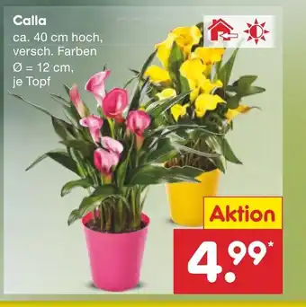 Netto Marken-Discount Calla Angebot