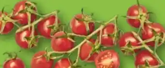 Aldi Nord Mini-Rispentomaten Angebot