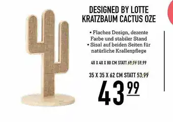 Kölle Zoo Designed By Lotte Kratzbaum Cactus Oze Angebot