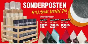 Repo Markt Hochwertiger Teppich Angebot