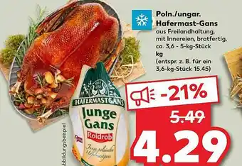 Kaufland Hafermast-gans Angebot