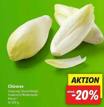 Lidl Chicoree Angebot