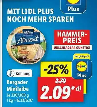 Lidl Bergader Minilaibe Angebot