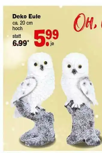 Repo Markt Deko Eule Angebot