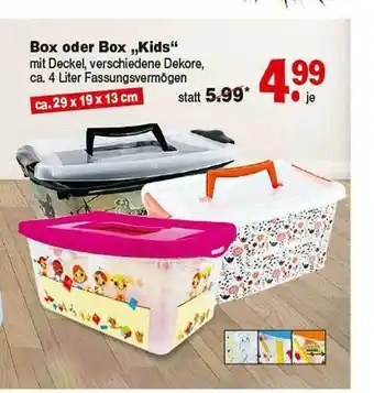 Repo Markt Box Oder Box „kids” Angebot