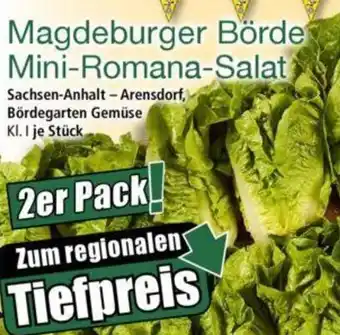 Norma Magdeburger Börde Mini-Romana-Salat Angebot