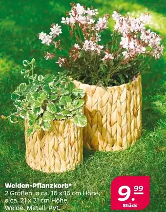 NETTO Weiden-Pflanzkorb Angebot