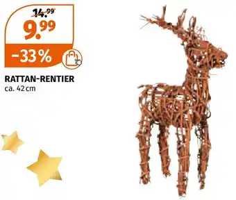 Müller Rattan Rentier Angebot