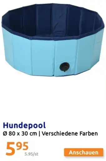 Action Hundepool Angebot