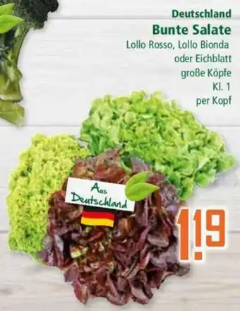 Klaas und Kock Deutschland Bunte Salate Angebot