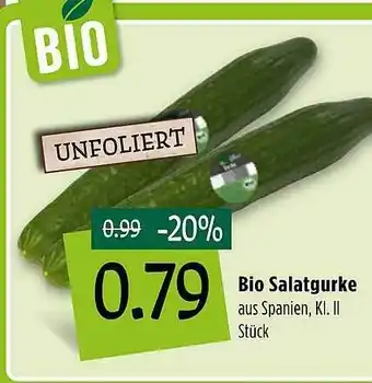 Kupsch Bio Salatgurke Angebot