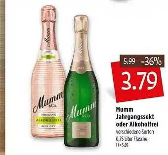 Kupsch Mumm Jahrgangssekt Oder Alkoholfrei Angebot