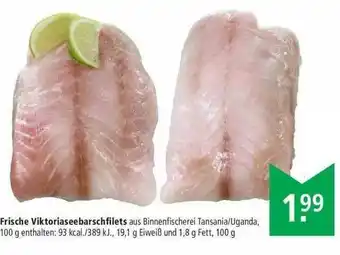 Marktkauf Frische Viktoriaseebarschfilets Angebot