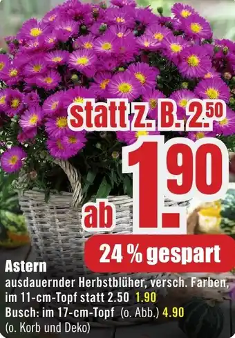B1 Discount Baumarkt Astern Angebot