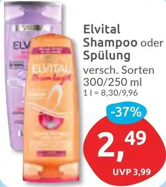 Budni Elvital Shampoo oder Spülung 300/250 ml Angebot