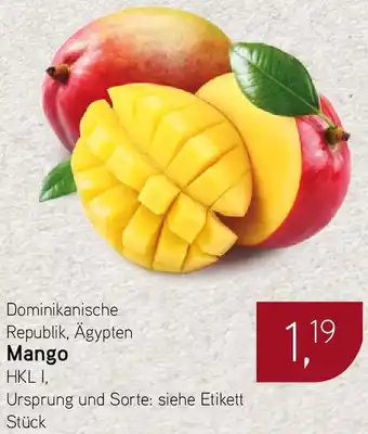 Dornseifer Mango Angebot