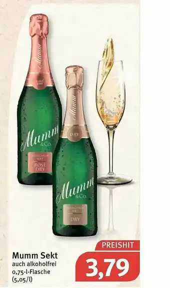 Feneberg Mumm Sekt Angebot