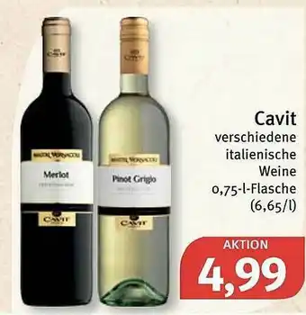 Feneberg Cavit Angebot