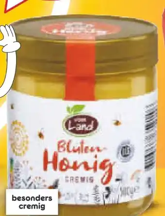 Netto Marken-Discount Blütenhonig Angebot