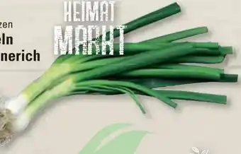 Edeka Frischemarkt Lauchzwiebeln Angebot