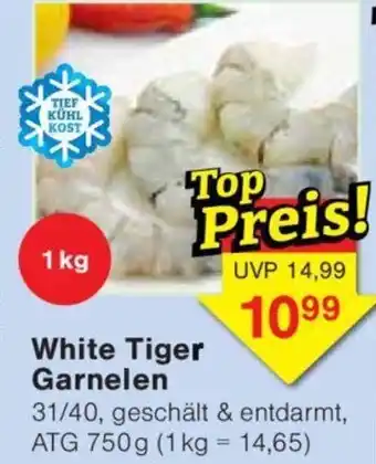 Jawoll White Tiger Garnelen 750G Angebot