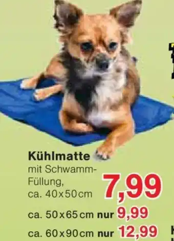 Jawoll Kühlmatte Angebot