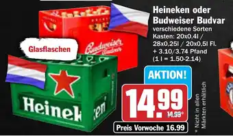 AEZ Heineken oder Budweiser Budvar Angebot