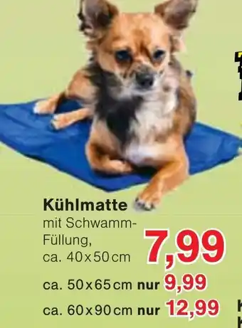 Wiglo Wunderland Kühlmatte Angebot